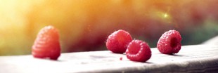 La framboise : l'antioxydant habite la baie La framboise : l'antioxydant habite la baie
