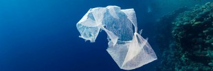 Le sac plastique biodégradable se généralise en France
