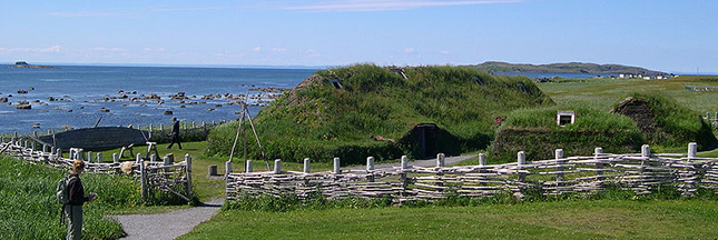 Les nombreux avantages du toit végétalisé