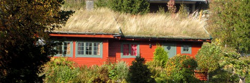 Comment entretenir une toiture végétalisée extensive ?