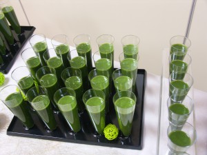 smoothie farines microalgues