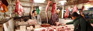 Chine : les animaux menacés finissent toujours à la marmite !
