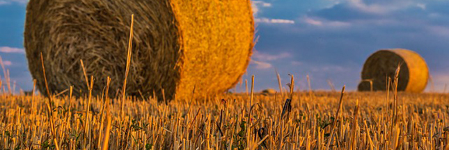 Pécs : une ville Hongroise qui se chauffe... à la paille ! Pécs : une ville Hongroise qui se chauffe... à la paille !