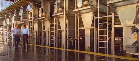 production-pistaches