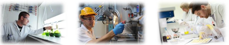 r&d-micro-algues-roquette