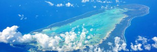 Atoll d'Aldabra : un écosystème bien préservé dans l'océan Indien 