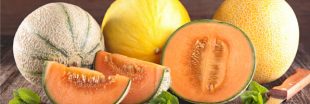Le melon, star des fruits et légumes de l'été