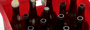 Reportage vidéo : à Montreuil, la bière artisanale c'est bio
