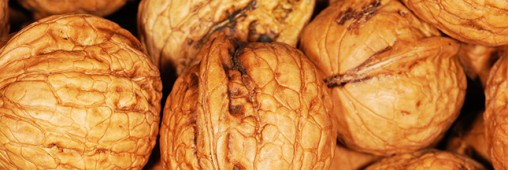 Manger des noix améliore la qualité du sperme