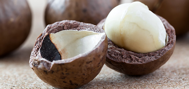 Noix de Macadamia : utilisations et bienfaits nutritionnels