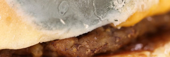 Vidéo : un burger moisit-il en 30 jours ?