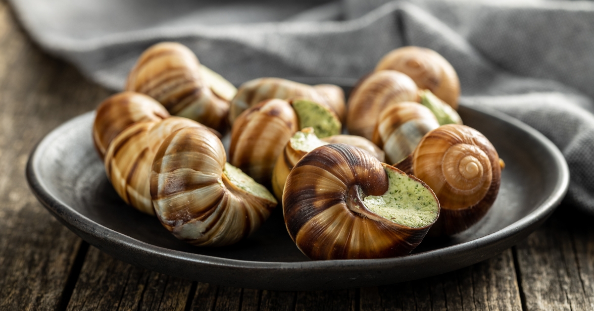 Vrais faux produits artisanaux - l'escargot de Bourgogne
