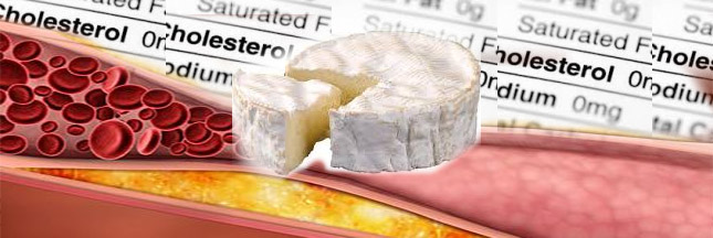 Fromage et cholestérol font bon ménage