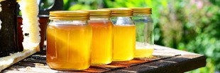 La pénurie de miel : qui en profite ? 