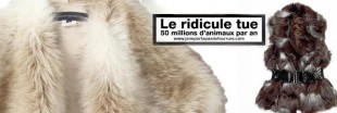Le Président de l'assoc' anti-fourrure Animalter parle Le Président de l'assoc' anti-fourrure Animalter parle