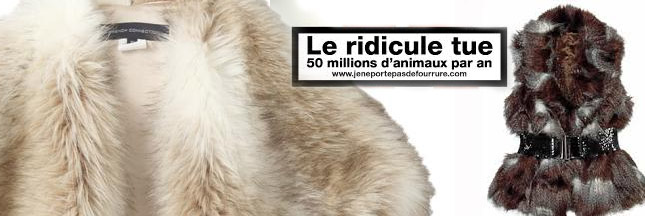 Le Président de l'assoc' anti-fourrure Animalter parle