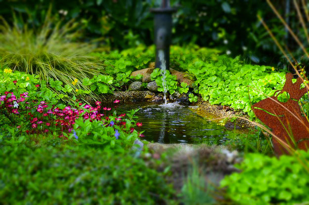 eautarcie-jardin-eaux-uses-plantes