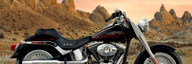 Les bikers Harley-Davidson veulent planter 50 millions d'arbres