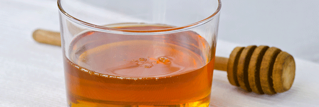 Le sirop d'agave, bienfaits et usages