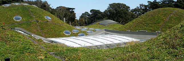 6 musées verts à découvrir absolument 6 musées verts à découvrir absolument