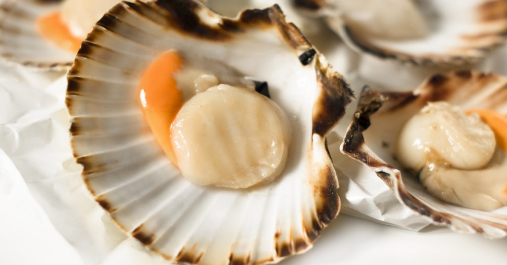 Comment bien choisir les coquilles Saint-Jacques