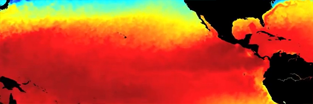 Zoom sur le réchauffement climatique (4)