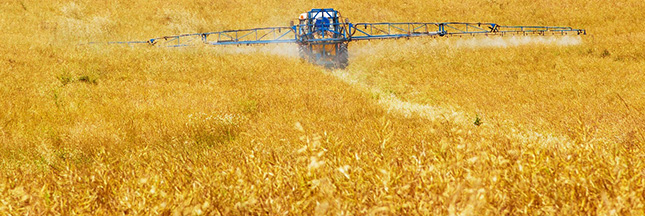 Ecophyto – Réduire les pesticides : mission impossible en France ?