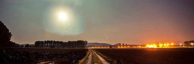 Jardiner avec la lune en 2015 : les phases