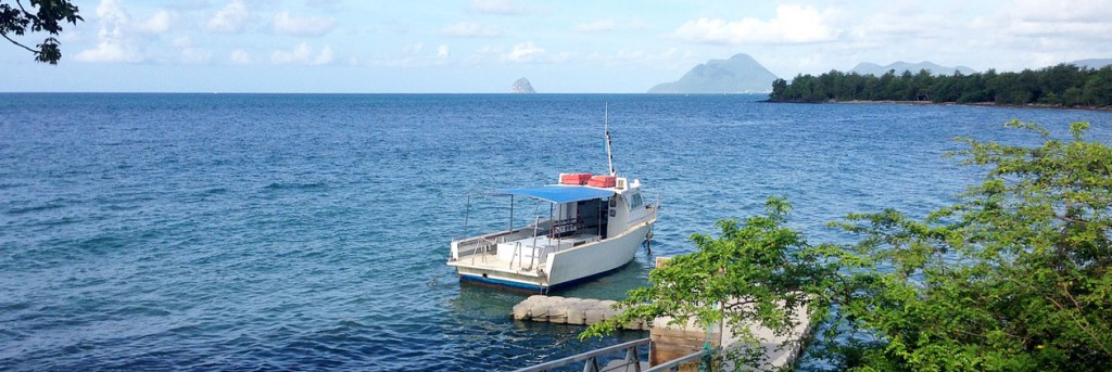 Martinique : vers une île à énergie positive ?