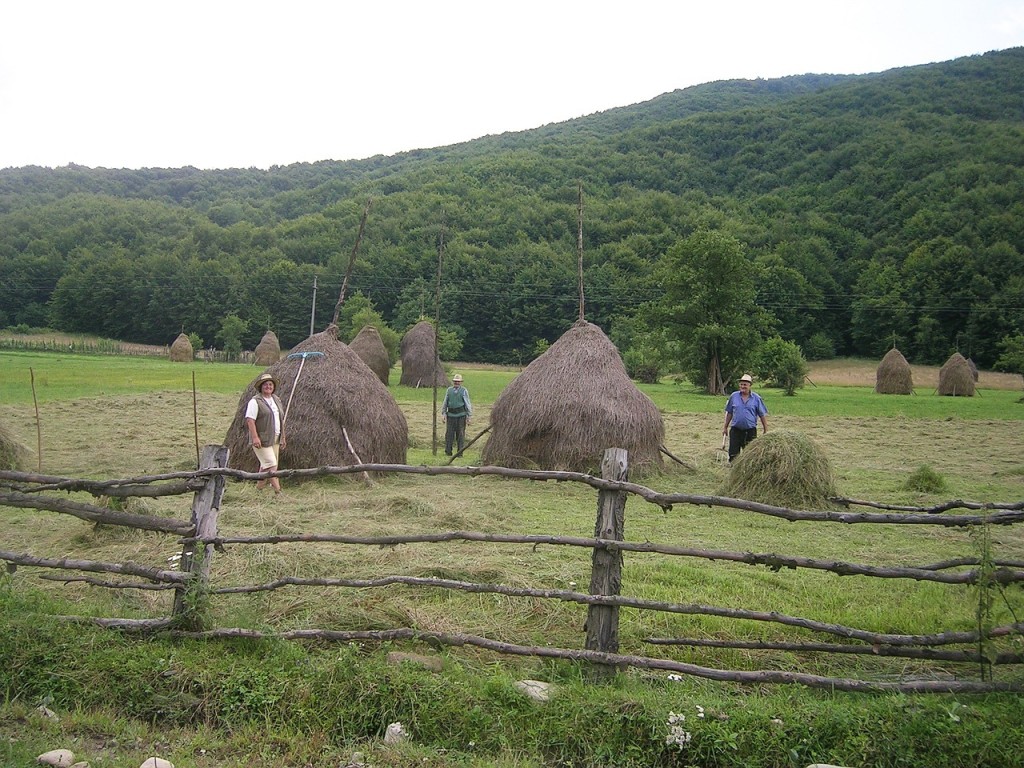 Petite agriculture : la clé de voûte de la sécurité alimentaire ?