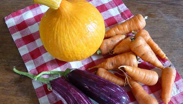 citrouilles-carottes-aubergines-legumes-bio-02