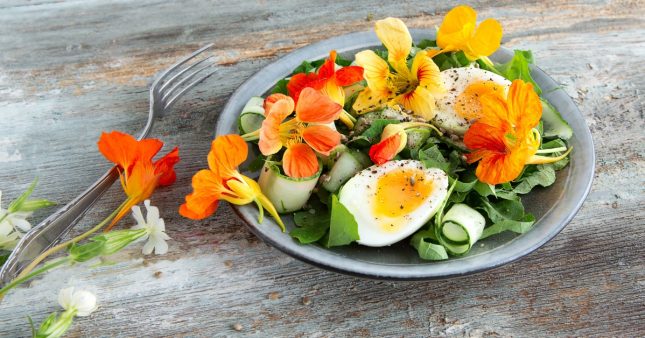 Des fleurs comestibles pour des recettes parfumées ! Des fleurs comestibles pour des recettes parfumées !