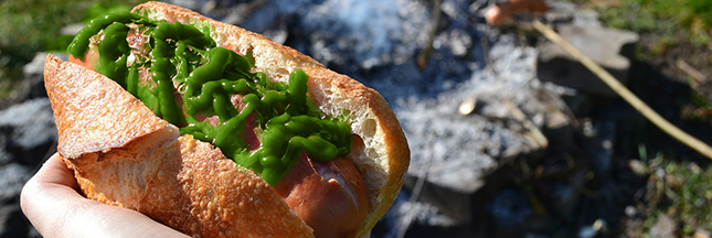 barbecue-sauce-ketchup-verte-hot-dog-00-ban