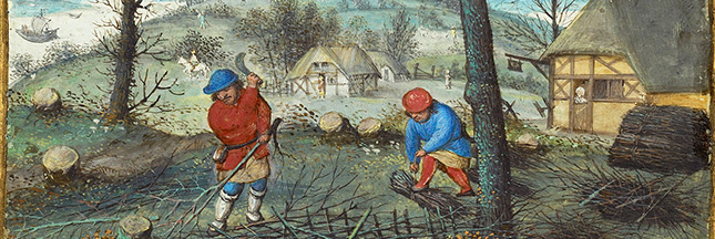 Tentez la Joualle : le compagnonnage des plantes au service de nos jardins Tentez la Joualle : le compagnonnage des plantes au service de nos jardins