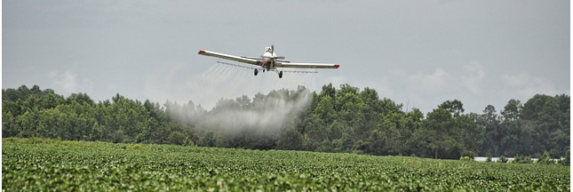 5 pesticides cancérigènes dénoncés par l'OMS 5 pesticides cancérigènes dénoncés par l'OMS