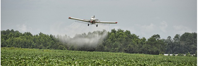5 pesticides cancérigènes dénoncés par l’OMS