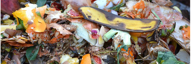 A Lille, des solutions pour lutter contre le gaspillage alimentaire