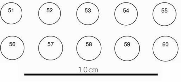 Taille de bague : comment la mesurer et la connaître ?