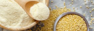 Le millet, une céréale parfaite pour manger sans gluten