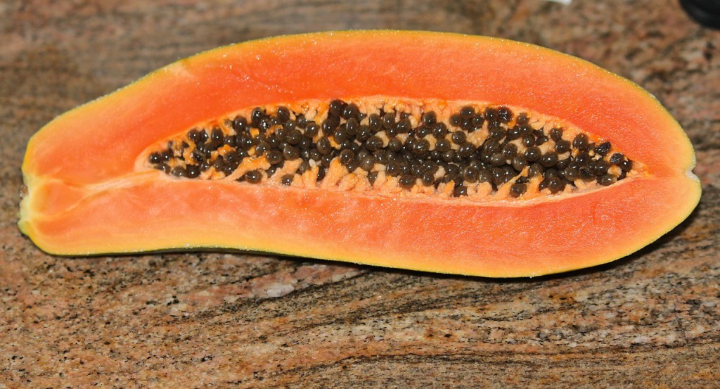 Mangez de la papaye : un antioxydant incomparable !