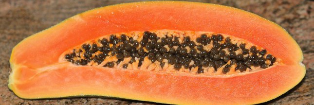 Mangez de la papaye : un antioxydant incomparable !