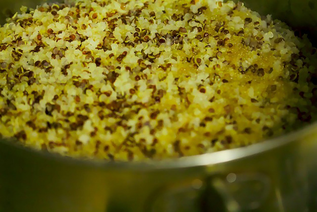 quinoa-casserole-recette-de-cuisine-protéines