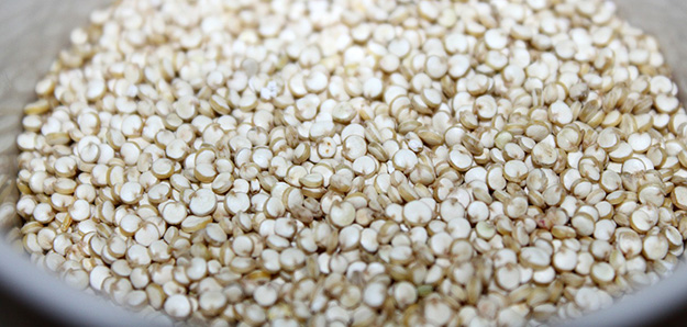 quinoa-graine-alimentation-bienfaits-sante-02