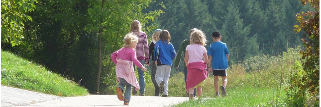 Les sorties vertes du mois de juin Les sorties vertes du mois de juin