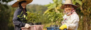 TREEZ : un engagement profond pour la reforestation