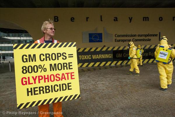 Monsanto Greenpeace