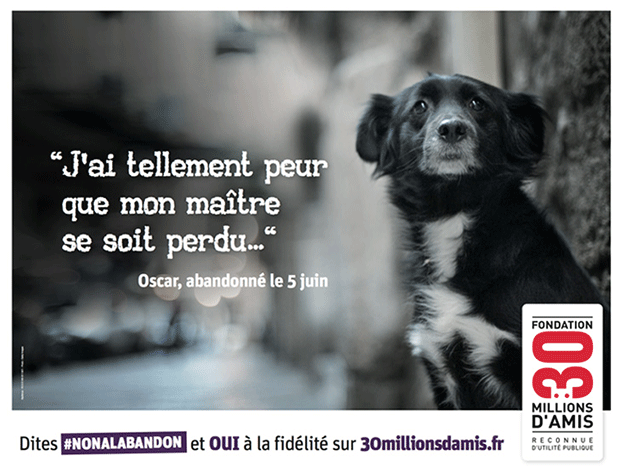 campagne-publicitaire-30-millions-d-amis-adopter-chien-adopter-chat-abandon-animal