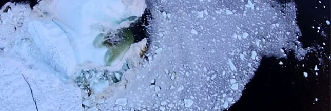 Un iceberg meurt, filmé par un drone [vidéo]