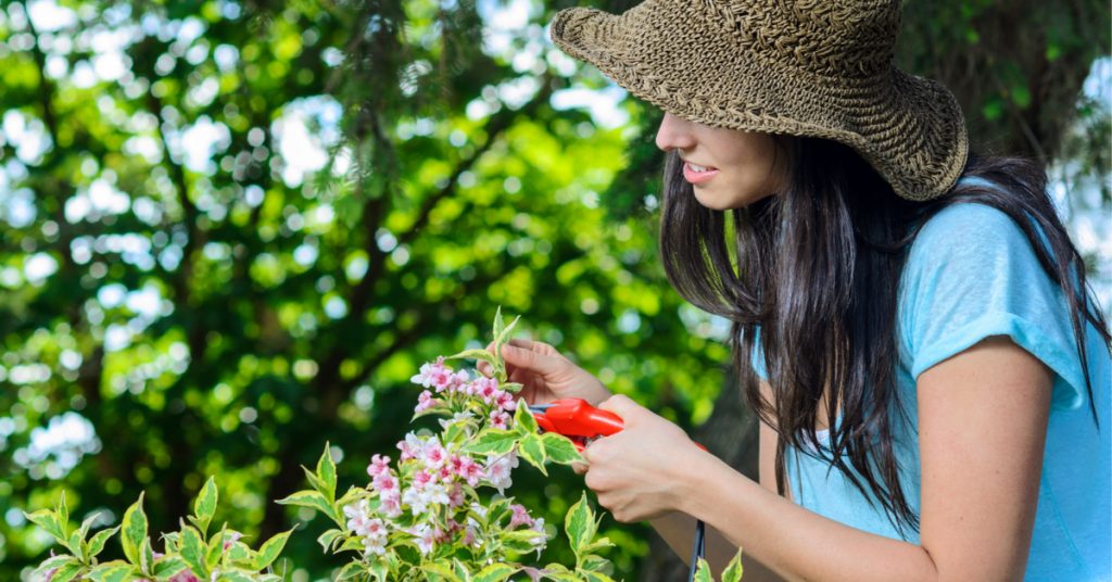 Soins naturels : cultivez votre beauté… avec les fleurs de votre jardin