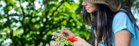 Soins naturels : cultivez votre beauté… avec les fleurs de votre jardin